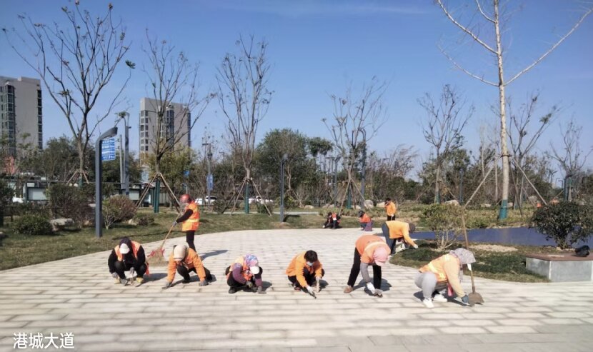 上網1